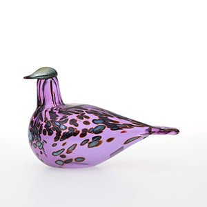 Birds Amethyst bird 0299