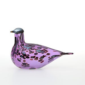 Birds Amethyst bird 0300