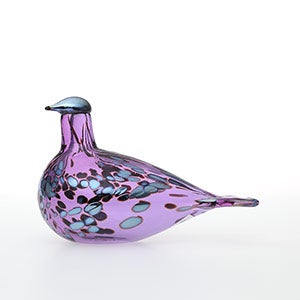 Birds Amethyst bird 0302