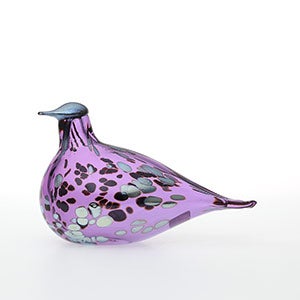 Birds Amethyst bird 0305