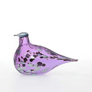 Birds Amethyst bird 0306
