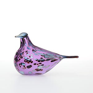 Birds Amethyst bird 0308