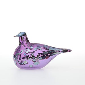 Birds Amethyst bird 0310