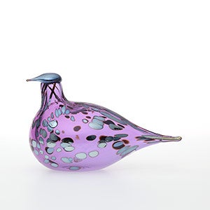 Birds Amethyst bird 0311