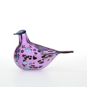 Birds Amethyst bird 0312