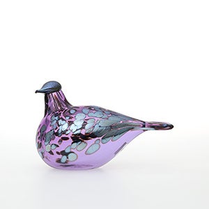Birds Amethyst bird 0315