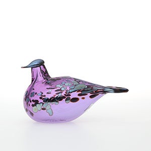 Birds Amethyst bird 0316