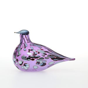 Birds Amethyst bird 0317