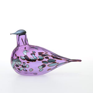 Birds Amethyst bird 0321