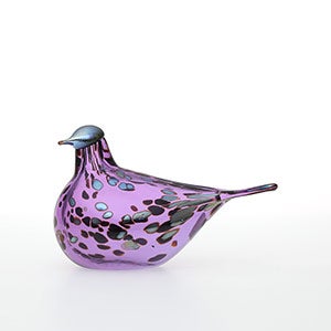 Birds Amethyst bird 0328