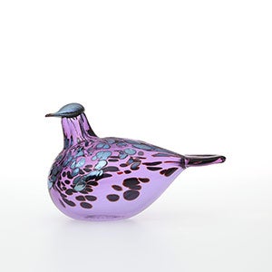 Birds Amethyst bird 0330