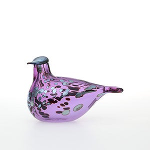 Birds Amethyst bird 0335