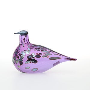 Birds Amethyst bird 0336