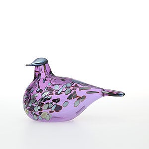 Birds Amethyst bird 0338