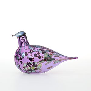 Birds Amethyst bird 0341