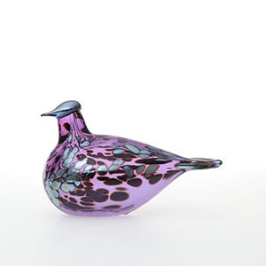 Birds Amethyst bird 0342