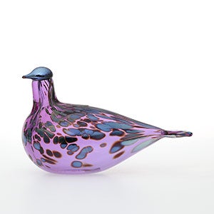 Birds Amethyst bird 0513