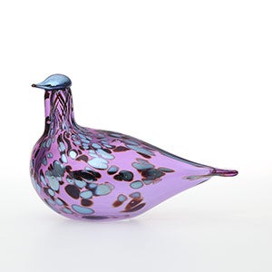 Birds Amethyst bird 0515