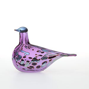 Birds Amethyst bird 0517