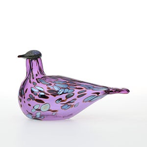 Birds Amethyst bird 0518