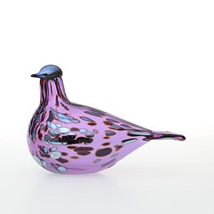 Birds Amethyst bird 0521