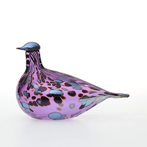 Birds Amethyst bird 0522