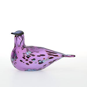 Birds Amethyst bird 0529