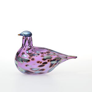 Birds Amethyst bird 0530