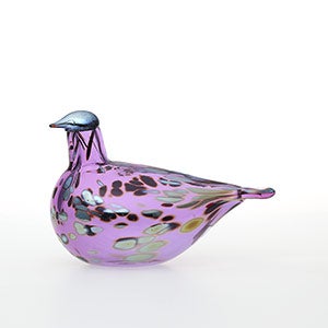 Birds Amethyst bird 0531