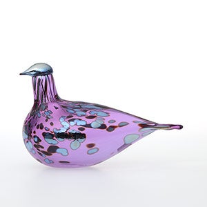 Birds Amethyst bird 0533