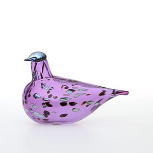 Birds Amethyst bird 0535