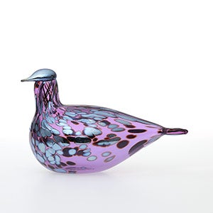 Birds Amethyst bird 0537