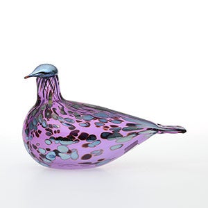Birds Amethyst bird 0538