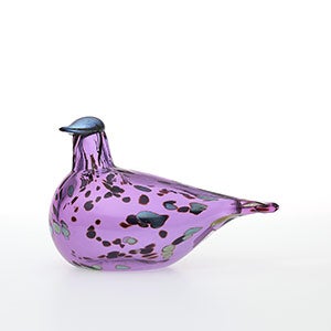 Birds Amethyst bird 0539