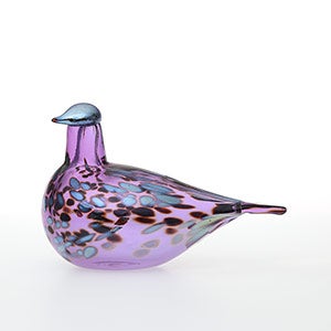 Birds Amethyst bird 0540