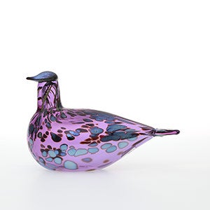 Birds Amethyst bird 0541