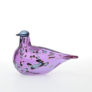Birds Amethyst bird 0542