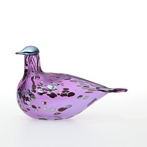 Birds Amethyst bird 0545