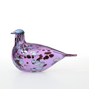 Birds Amethyst bird 0546