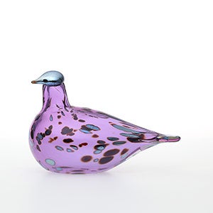 Birds Amethyst bird 0547