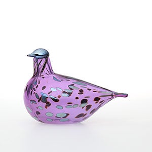 Birds Amethyst bird 0548
