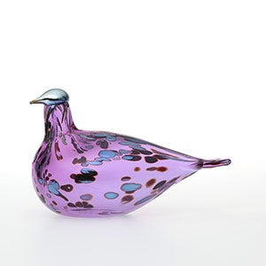 Birds Amethyst bird 0550