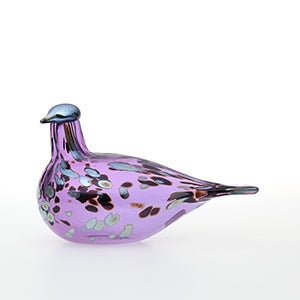 Birds Amethyst bird 0552