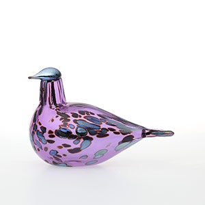 Birds Amethyst bird 0553