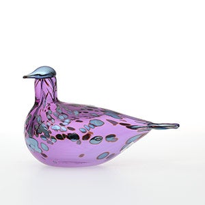 Birds Amethyst bird 0554