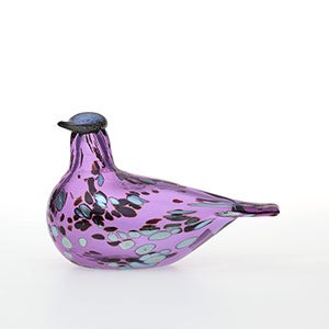 Birds Amethyst bird 0556