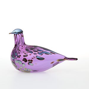 Birds Amethyst bird 0557