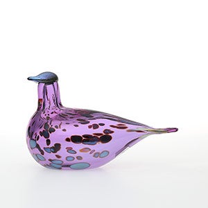 Birds Amethyst bird 0559