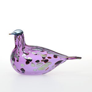 Birds Amethyst bird 0561