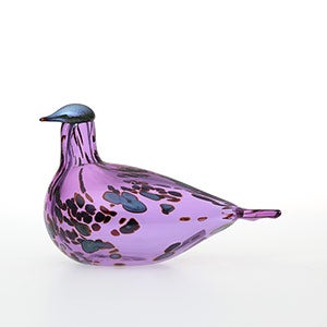 Birds Amethyst bird 0562